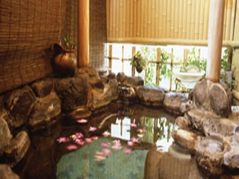 Hotel Green Plaza Hakone