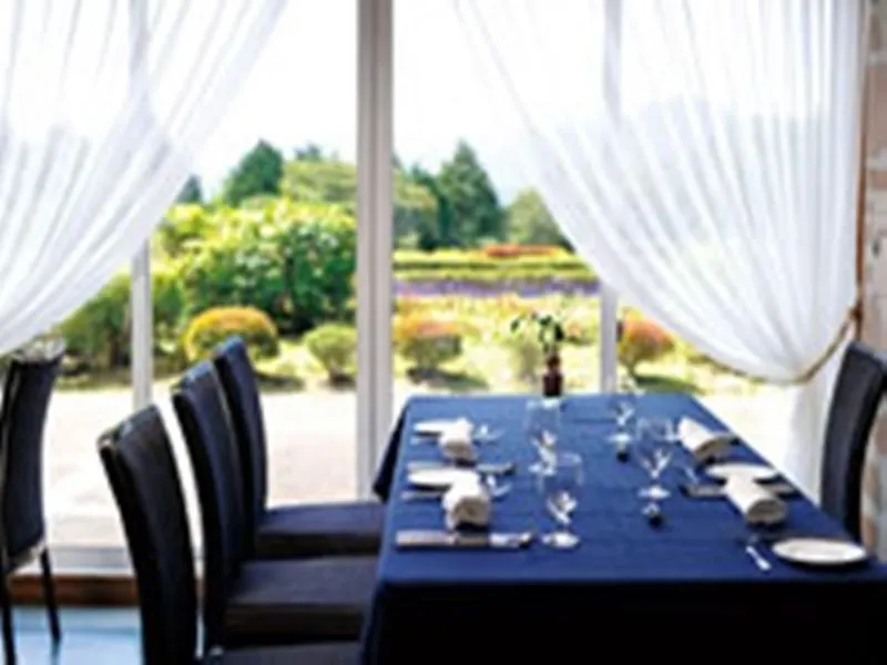 Hotel Green Plaza Hakone